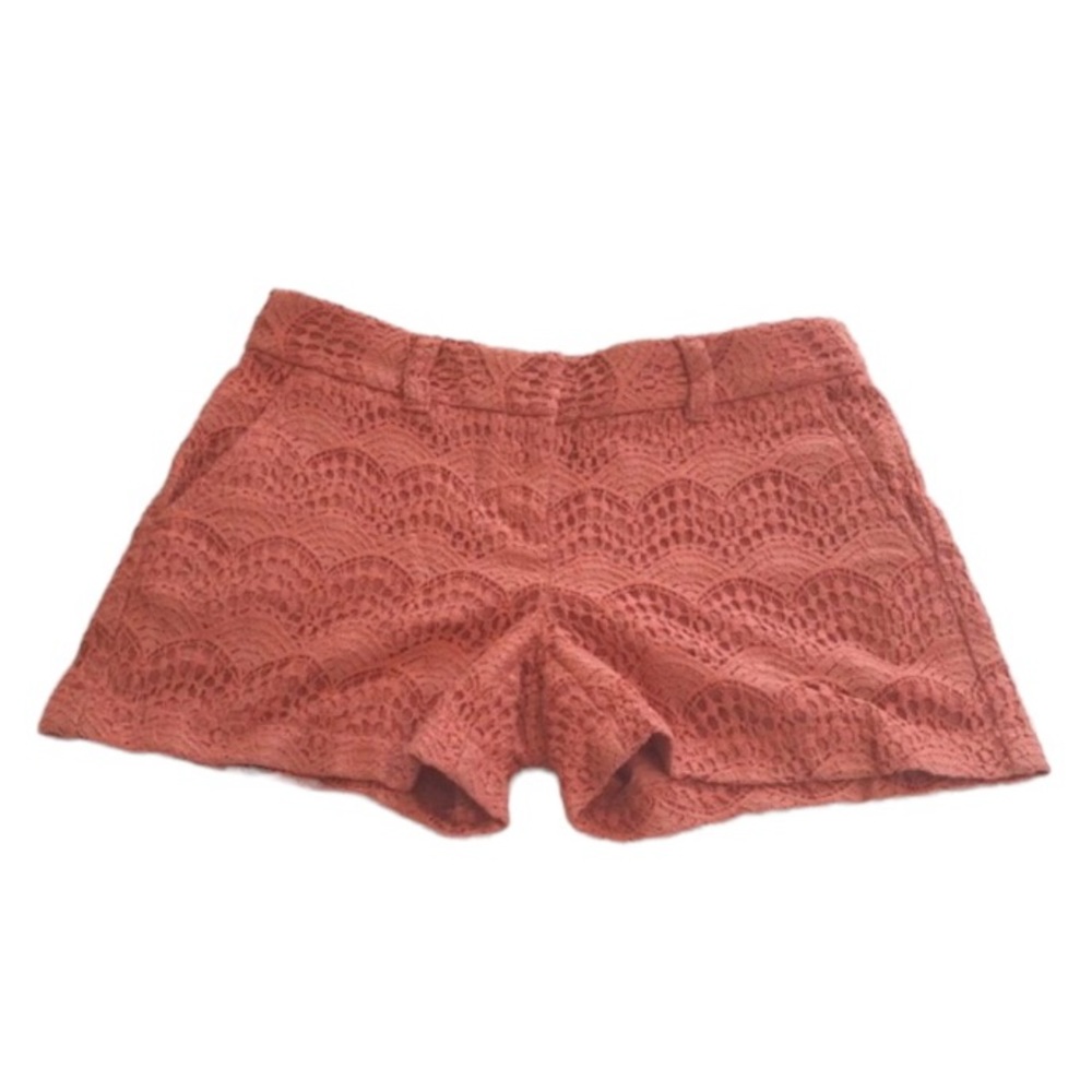 Loft Lace Shorts